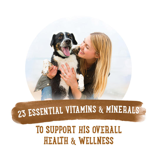 Beneful® Prepared Meals Wet Dog Food Variety Pack - 6 Pack