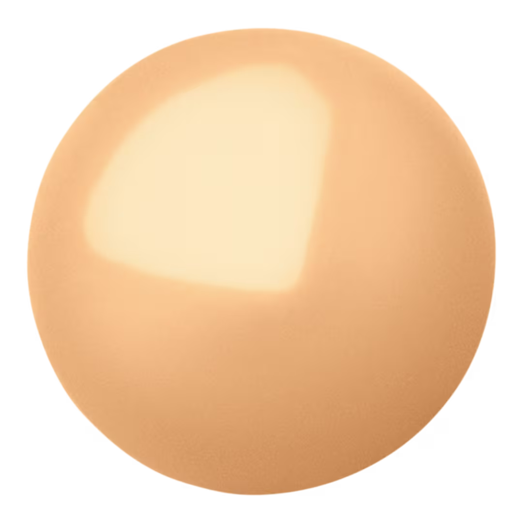 True to Myself Natural Matte Long-Wear Foundation-19 Light Medium Warm