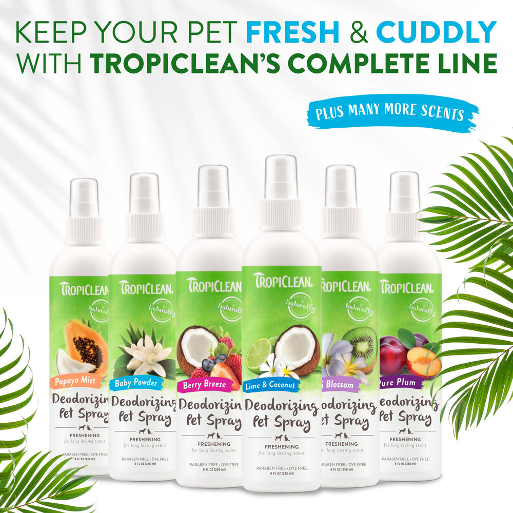 TropiClean® Freshen Up Spray – Keeps Pets Smelling Fresh, 8 oz