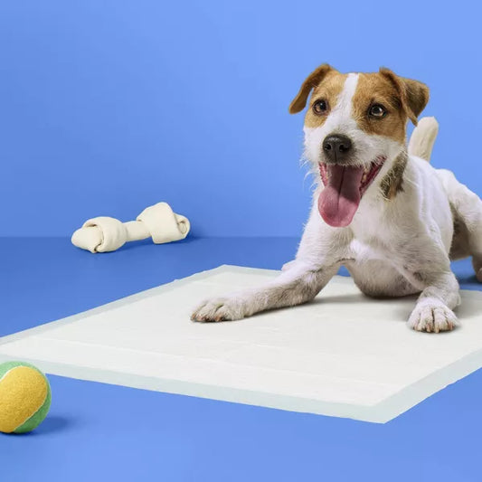 up&up™ Puppy Potty Training Pads - Large, 100 Count