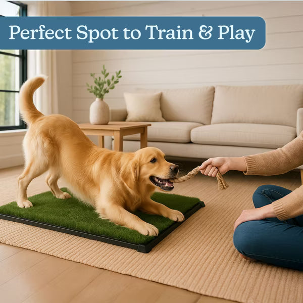 PETMAKER 4-Layer Artificial Grass Puppy Training Pad - 20" x 30"