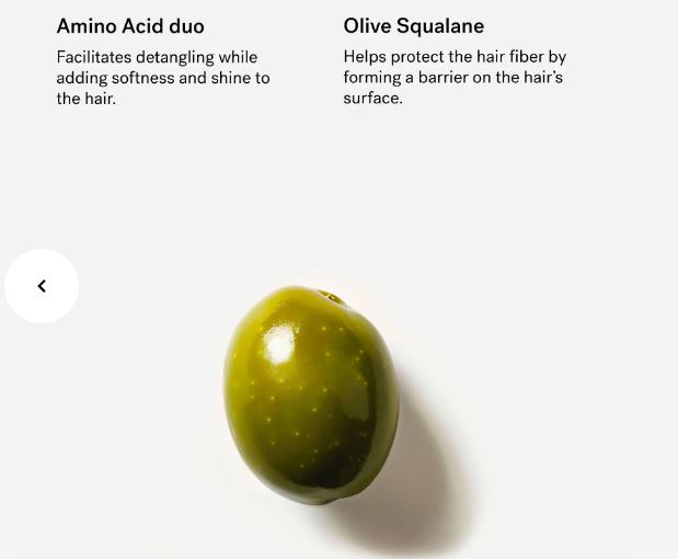 R20 — Fortifying Conditioner 1% Amino Acids + Squalane