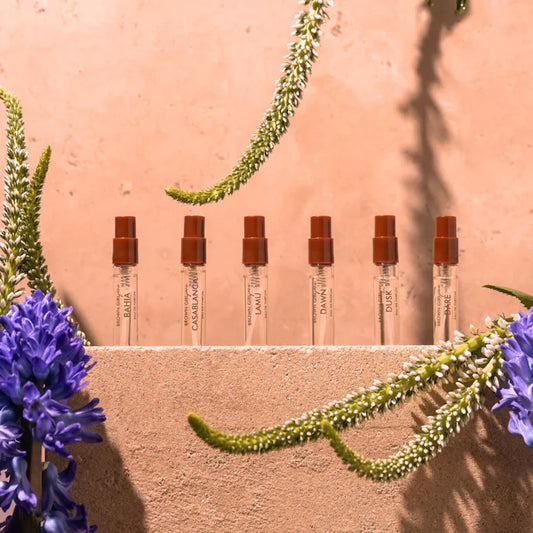 BROWN GIRL Jane Discovery Set