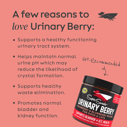 Super Snouts® Urinary Berry Cranberry & Blueberry Blend – 75g | Supports Urinary Tract & Bladder Health in Dogs & Cats