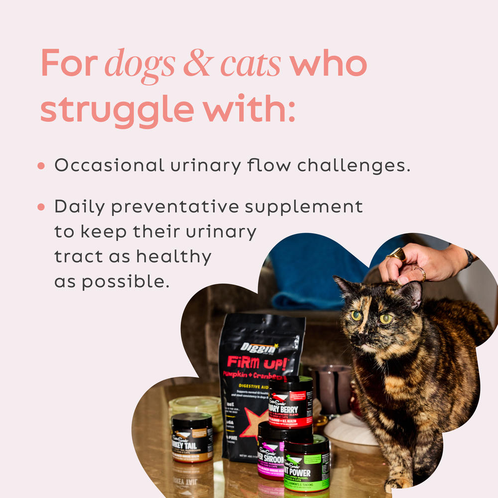 Super Snouts® Urinary Berry Cranberry & Blueberry Blend – 75g | Supports Urinary Tract & Bladder Health in Dogs & Cats