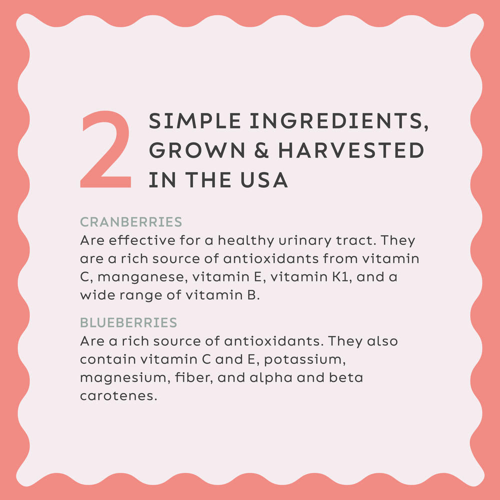 Super Snouts® Urinary Berry Cranberry & Blueberry Blend – 75g | Supports Urinary Tract & Bladder Health in Dogs & Cats