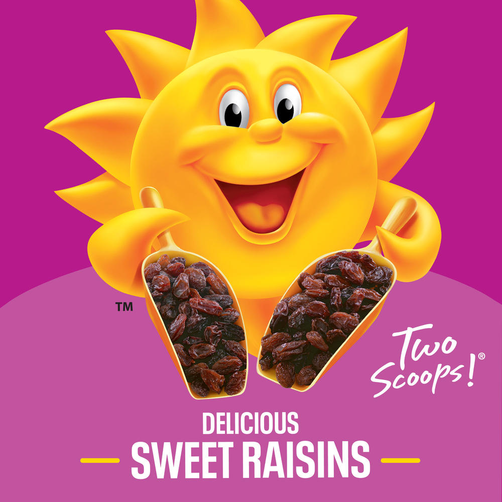 Kellogg's® Raisin Bran Cereal - 27.1 oz