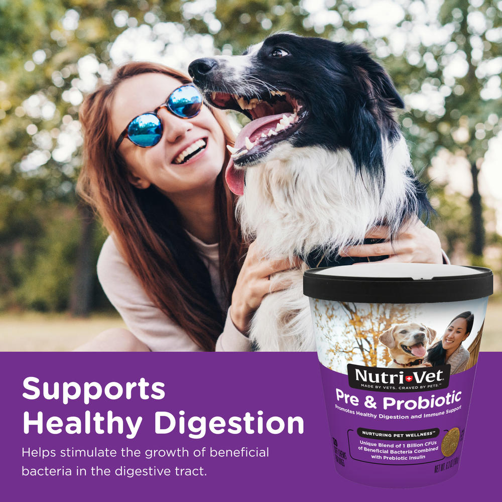 Nutri-Vet® Pre & Probiotic Soft Chews for Dogs – Digestive & Immune Support, 120 Count