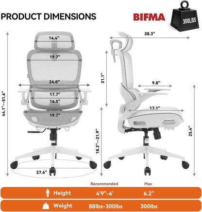 SIHOO B100 Ergonomic Office Chair with Adaptive Lumbar Support & Wide Headrest, Grey