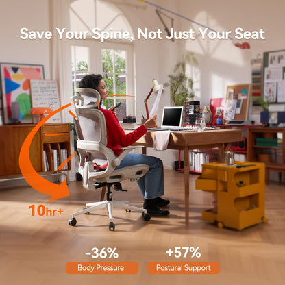 SIHOO B100 Ergonomic Office Chair with Adaptive Lumbar Support & Wide Headrest, Grey