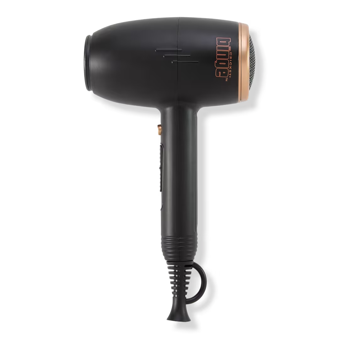 Binge Power Gloss Ionic Salon Hair Dryer