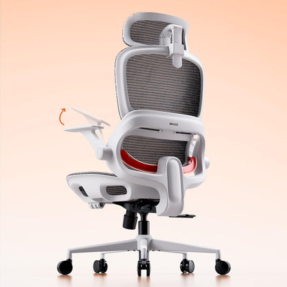 SIHOO B100 Ergonomic Office Chair with Adaptive Lumbar Support & Wide Headrest, Grey