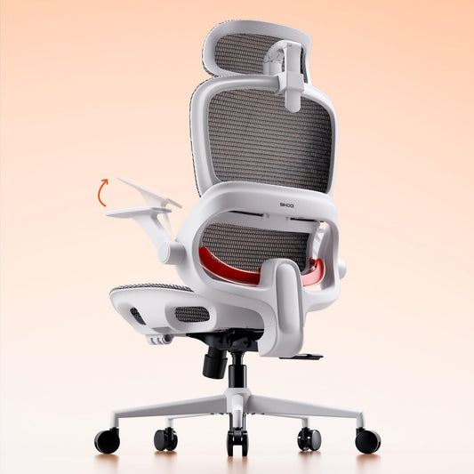 SIHOO B100 Ergonomic Office Chair with Adaptive Lumbar Support & Wide Headrest, Grey