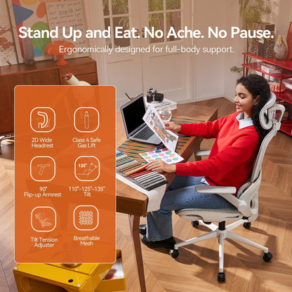 SIHOO B100 Ergonomic Office Chair with Adaptive Lumbar Support & Wide Headrest, Grey
