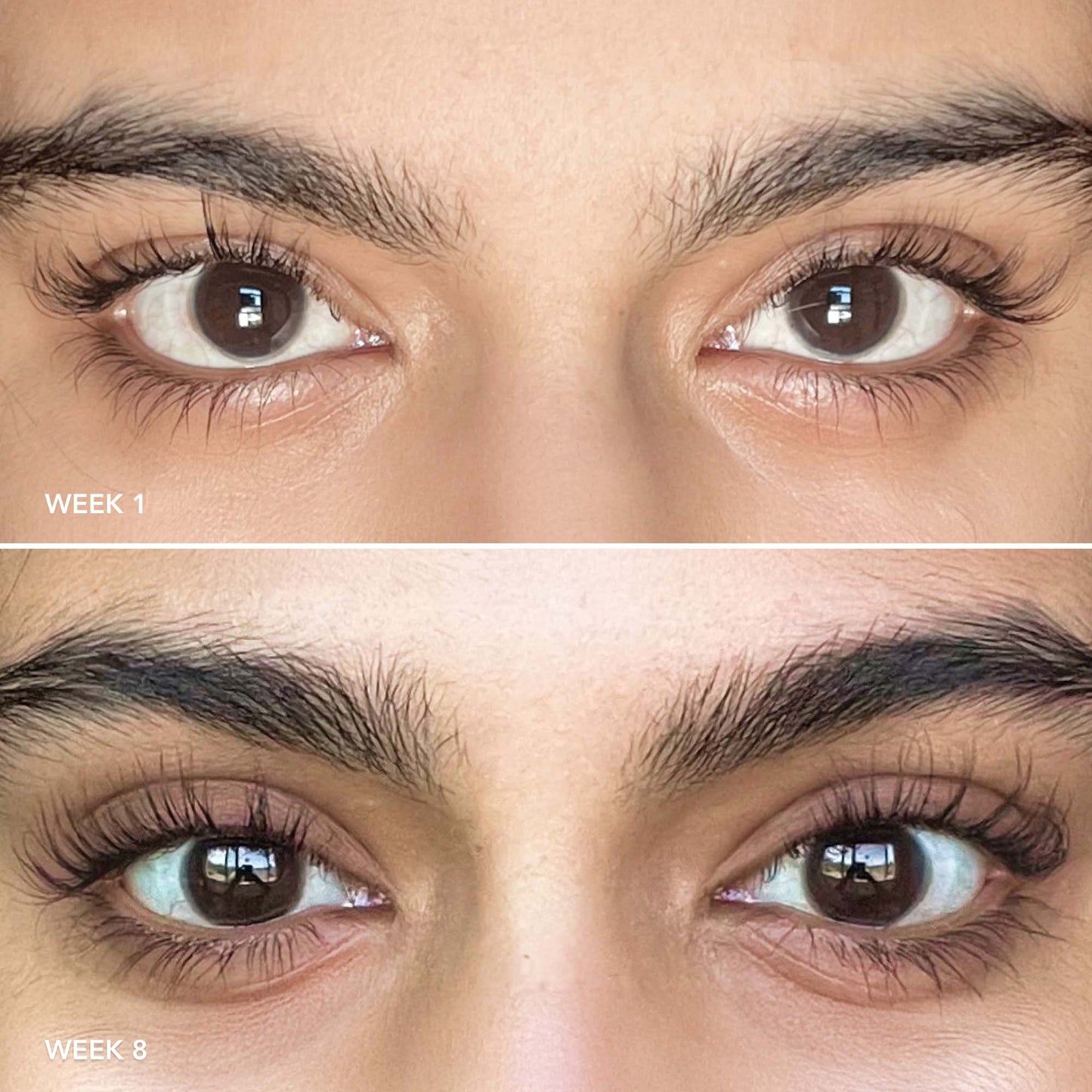 Liquid Lash Extensions Conditioning Lash & Brow Serum-