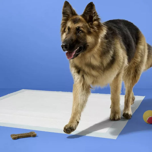 up&up™ Leak-Proof XXL Puppy Training Pads - 40ct