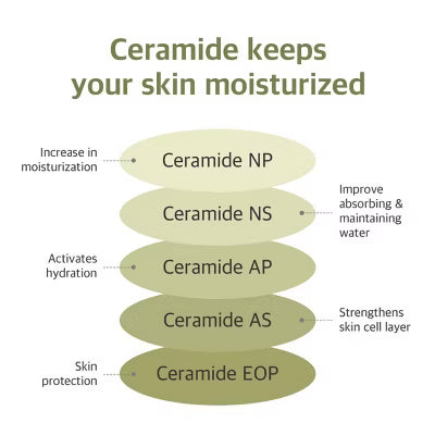 Round Lab Soybean Nourishing Serum Daily Facial Moisturizers - Travel Size - 50ml