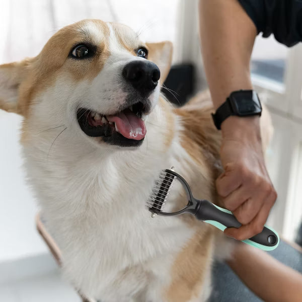 Unique Bargains Stainless Steel Pet Grooming Brush - Green