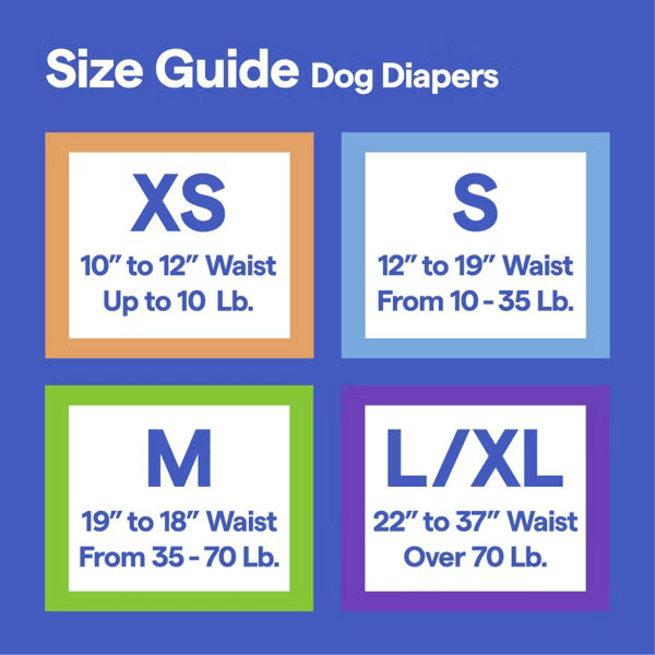 up&up Female Dog Diapers, L/XL, Disposable - 18ct
