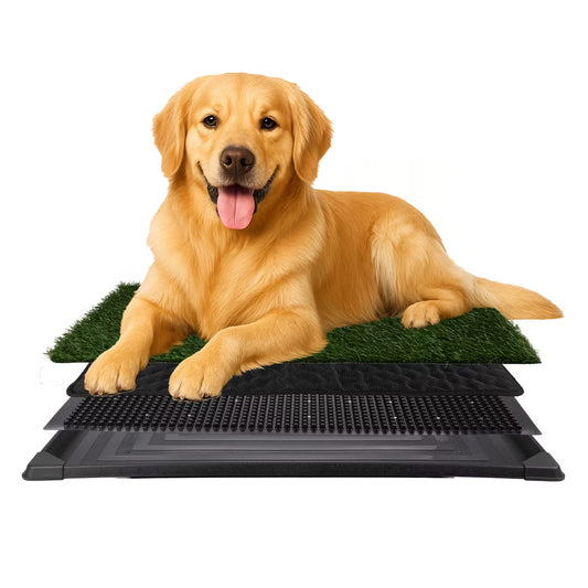 PETMAKER 4-Layer Artificial Grass Puppy Training Pad - 20" x 30"