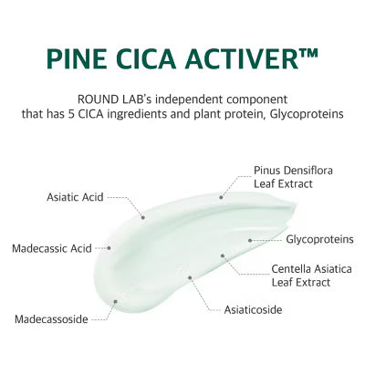 Round Lab Pine Calming Cica Face Cream - Travel Size - 50ml