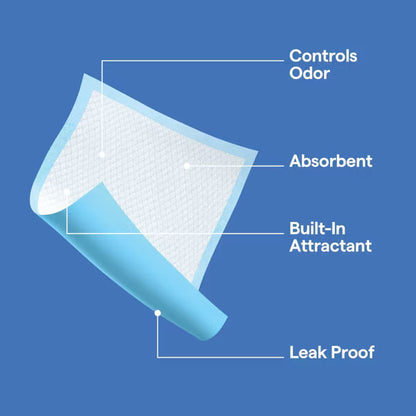 up&up™ Leak-Proof XXL Puppy Training Pads - 40ct