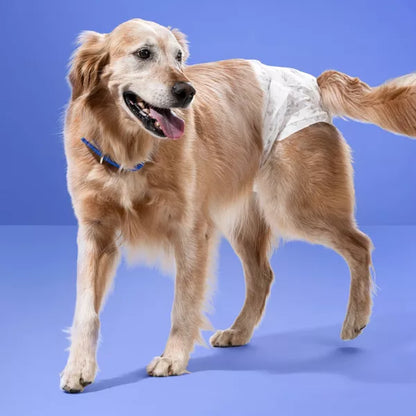 up&up Female Dog Diapers, L/XL, Disposable - 18ct