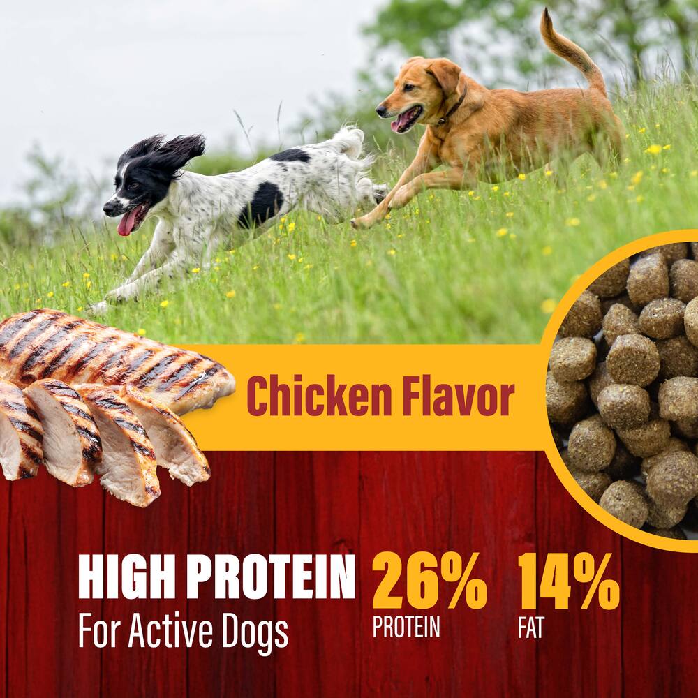 Maverick’s Best™ Complete High-Protein Chicken Dog Food – All Life Stages, 44 lb