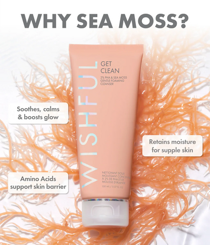 GET CLEAN 2% PHA & SEA MOSS GENTLE FOAMING CLEANSER