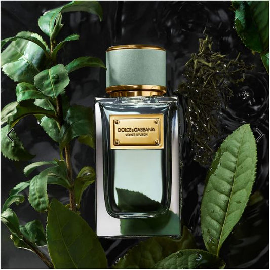 Dolce & Gabbana Velvet Infusion Eau de Parfum