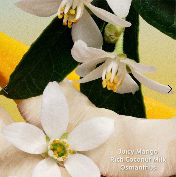 Miu Miu Fleur de Lait EDP Mini Spray – Warm Coconut & Floral Fragrance