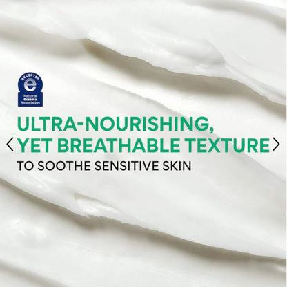 “innisfree Green Tea Ceramide Moisturizer – Hydrate, Soothe & Repair Skin Barrier”