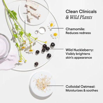 ALPYN  Polishing Peel & Brightening Face Mask with 8 Acids & Huckleberry