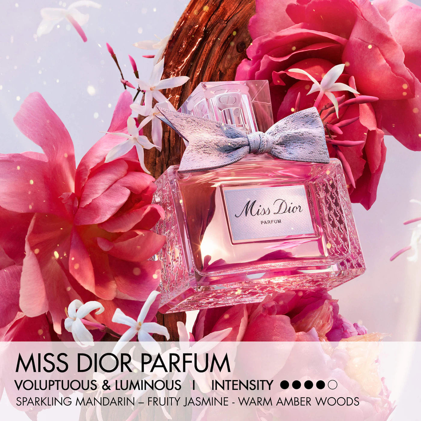 DIOR Miss Dior Parfum – Floral Fruity Women's Perfume