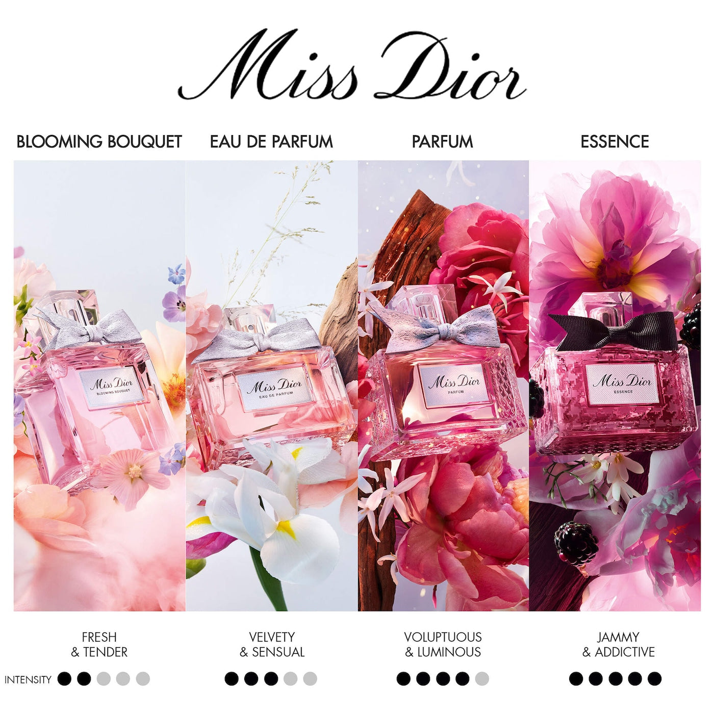 DIOR Miss Dior Parfum – Floral Fruity Women's Perfume
