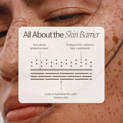 ILIA  Barrier Build Skin Protectant Cream – Moisturizer with Ceramides