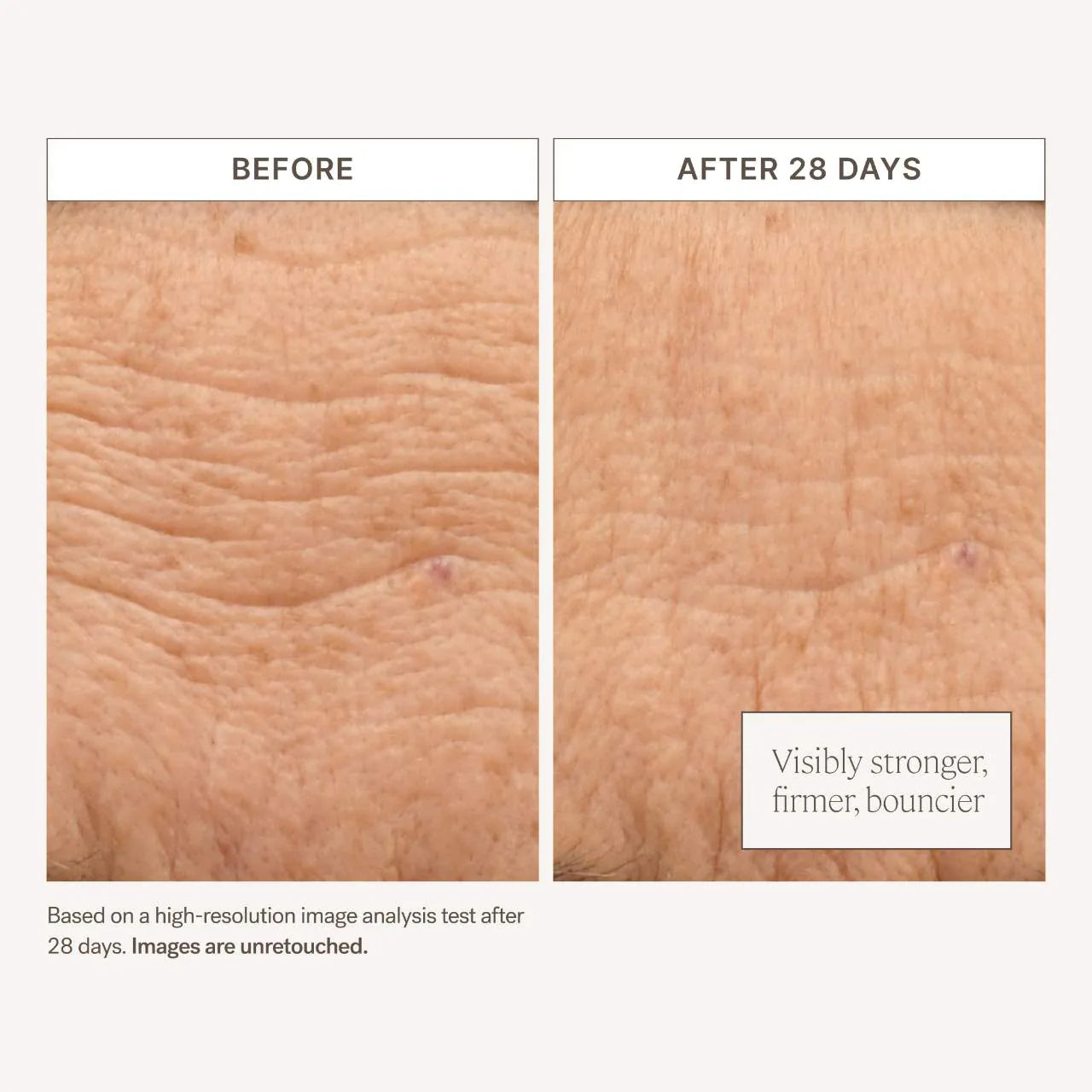ILIA  Barrier Build Skin Protectant Cream – Moisturizer with Ceramides