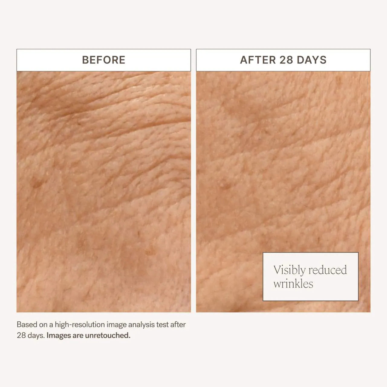 ILIA  Barrier Build Skin Protectant Cream – Moisturizer with Ceramides