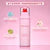 Powder Melt Glass Setting Spray