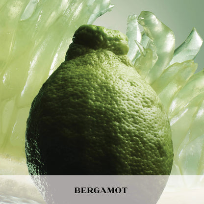 Prada Paradigme Eau de Parfum – Bergamot Citrus Woody Fragrance