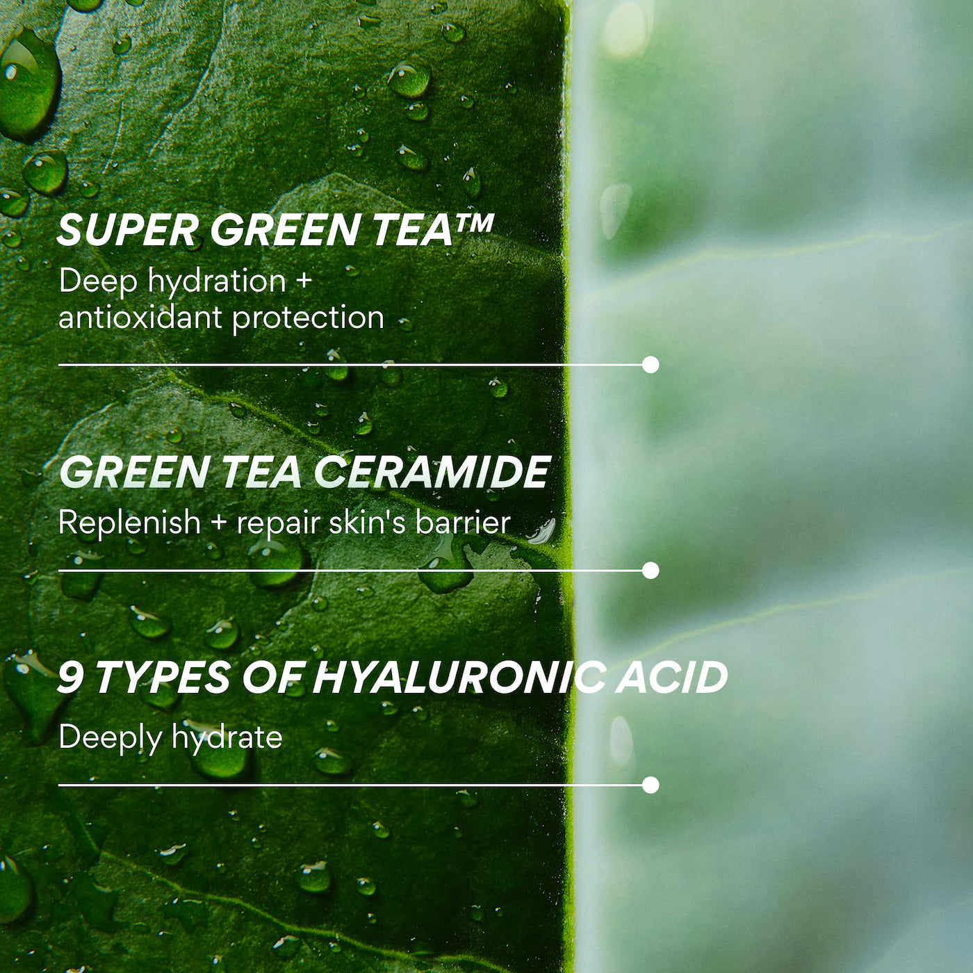 innisfree  Mini Green Tea Ceramide Milk Toner for Hydration & Barrier Repair