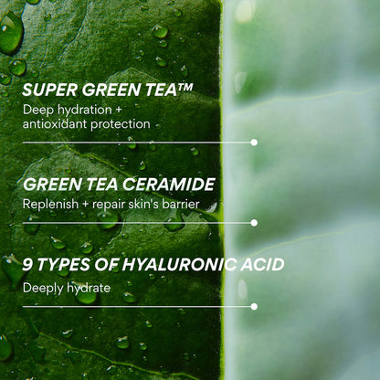 innisfree  Mini Green Tea Ceramide Milk Toner for Hydration & Barrier Repair