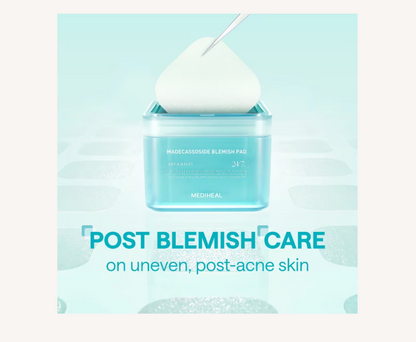 Madecassoside Blemish Pad